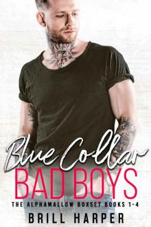 Blue Collar Bad Boys Box Set 1