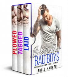 Blue Collar Bad Boys Box Set 2