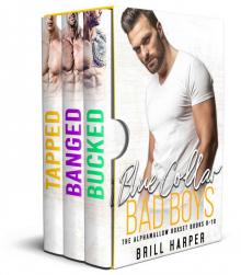 Blue Collar Bad Boys Box Set 3