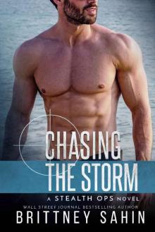 Chasing the Storm (Stealth Ops Book 10)