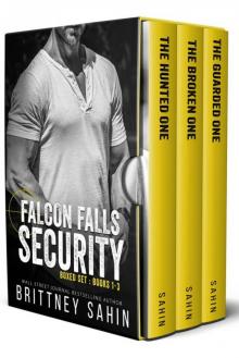 Falcon Falls Security Boxed Set: Books 1-3
