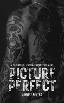 Picture Perfect: Standalone Enemies to Lovers Reverse Harem (Beautifully Broken)