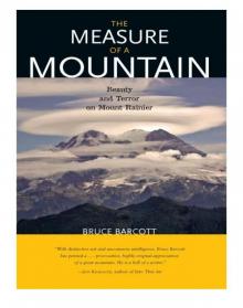 The Measure of a Mountain