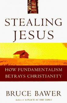 Stealing Jesus: how fundamentalism betrays Christianity