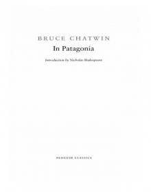 In Patagonia In Patagonia