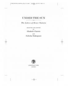 Under the Sun: The Letters of Bruce Chatwin Under the Sun: The Letters of Bruce Chatwin