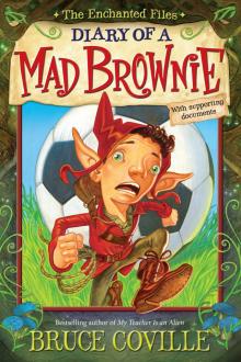 Diary of a Mad Brownie