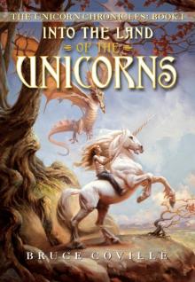 Into the Land of the Unicorns