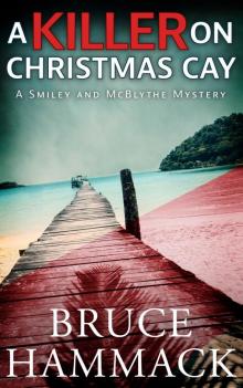 A Killer On Christmas Cay A Killer On Christmas Cay