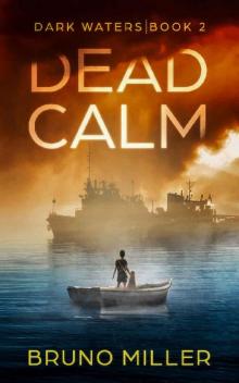 Dead Calm: A Post-Apocalyptic EMP Survival series (Dark Waters Book 2)