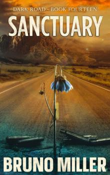 Sanctuary: A Post-Apocalyptic EMP Survival series 14 (Dark Road)