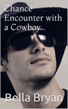 Chance Encounter with a Cowboy