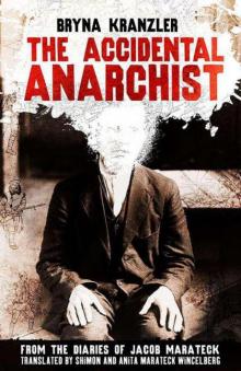 The Accidental Anarchist