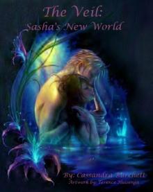 The Veil: Sasha's New World (Elven God's)
