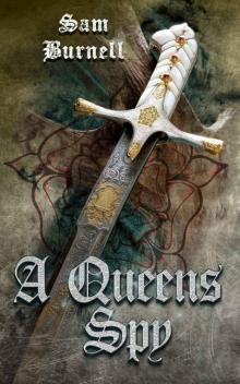 A Queens Spy: The Tudor Mystery Trials