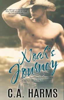 Noah's Journey (Sawyer Brothers Series Book 3) Noah's Journey (Sawyer Brothers Series Book 3)