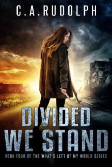 Divided We Stand (What's Left of My World Book 4)