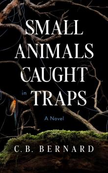 Small Animals Caught in Traps