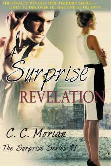 A Surprise Revelation (The Surprise Series Book 1)