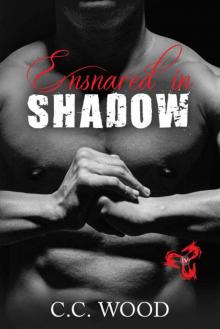 Ensnared in Shadow (Blood & Bone Book 4) Ensnared in Shadow (Blood & Bone Book 4)