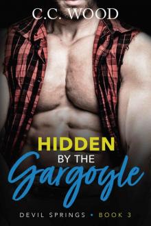 Hidden by the Gargoyle (Devil Springs Book 3) Hidden by the Gargoyle (Devil Springs Book 3)