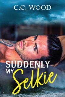 Suddenly My Selkie (Mystical Matchmakers Book 3) Suddenly My Selkie (Mystical Matchmakers Book 3)