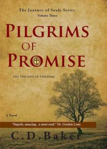 Pilgrims of Promise: A Novel Pilgrims of Promise: A Novel