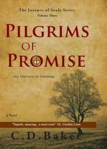 Pilgrims of Promise: A Novel (The Journey of Souls Series) Pilgrims of Promise: A Novel (The Journey of Souls Series)