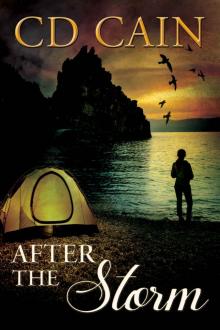 After the Storm (Chambers of the Heart Book 3)
