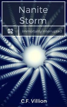 Nanite Storm: Travails in Nanotechnology