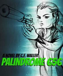Palindrome 656: DIRECTORS CUT