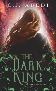 The Dark King The Dark King