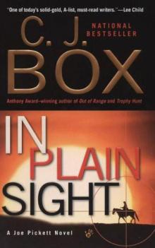 In Plain Sight jp-6