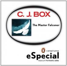 The Master Falconer (joe pickett)