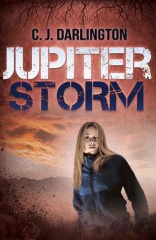 Jupiter Storm (Jupiter Winds series Book 2) Jupiter Storm (Jupiter Winds series Book 2)