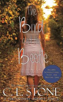 The Academy--The Bird and the Beetle The Academy--The Bird and the Beetle