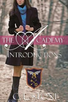 The Academy - Introductions (Year One, Book One) (The Academy Series) The Academy - Introductions (Year One, Book One) (The Academy Series)
