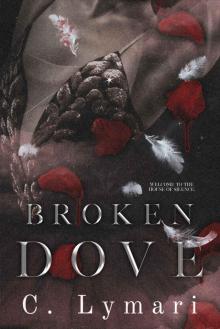 Broken Dove: A Dark Romance (Dance of the Dead Book 2)
