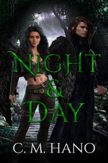 Night & Day