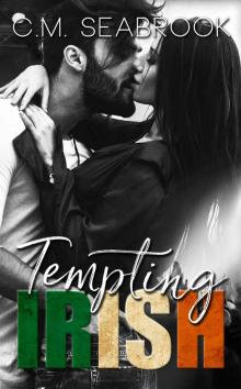 Tempting Irish: A Rock Star Romance (Wild Irish Book 2)