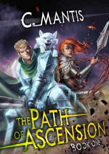 The Path of Ascension: A LitRPG Adventure
