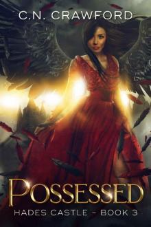 Possessed (Hades Castle Trilogy Book 3) Possessed (Hades Castle Trilogy Book 3)