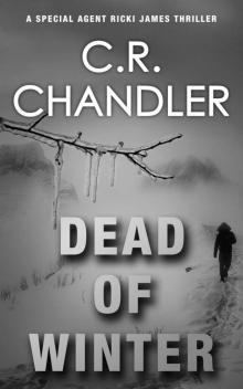 Dead Of Winter (Special Agent Ricki James Book 8)