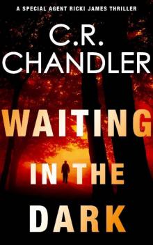 WAITING IN THE DARK (Special Agent Ricki James Book 4)