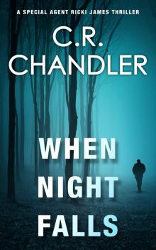 When Night Falls (Special Agent Ricki James Book 11)
