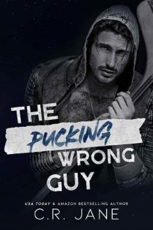 The Pucking Wrong Guy: A Hockey Romance