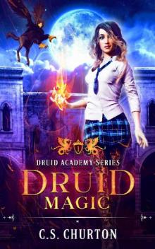 Druid Magic (Druid Academy Book 1)