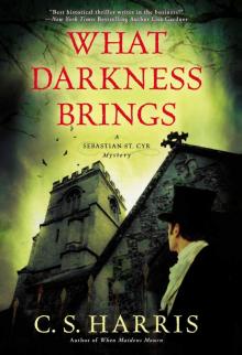 St. Cyr 08 - What Darkness Brings