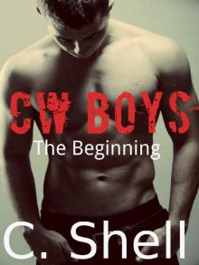 CW Boys: The Beginning (CW Boys #1)