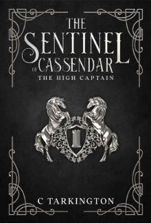 The Sentinel of Cassendar Book One: The High Captain